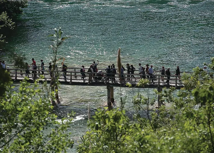 1 Bedroom Awesome In *